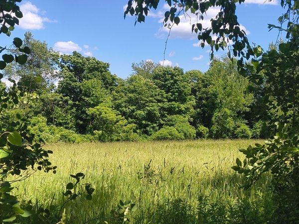 lot 4 Holcomb Road, Chester, MA 01011