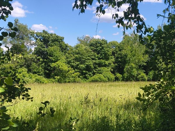 lot 4 Holcomb Road, Chester, MA 01011
