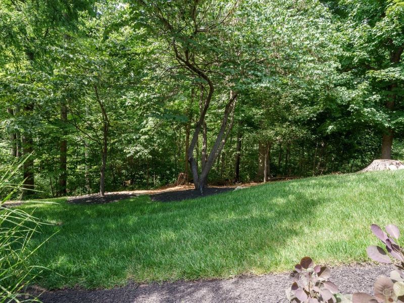 430 Trailview, Anderson Twp, OH 45244 Photo 74