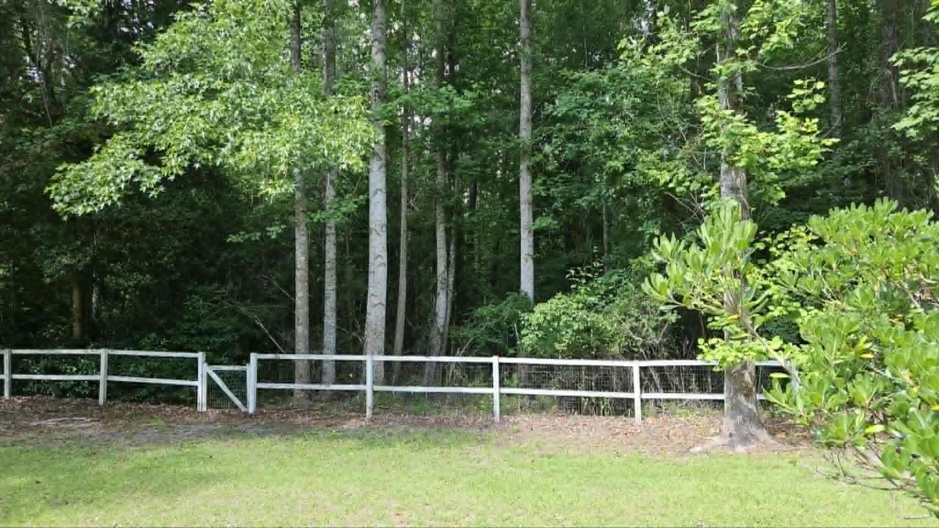 1927 Armview Rd. Photo 33
