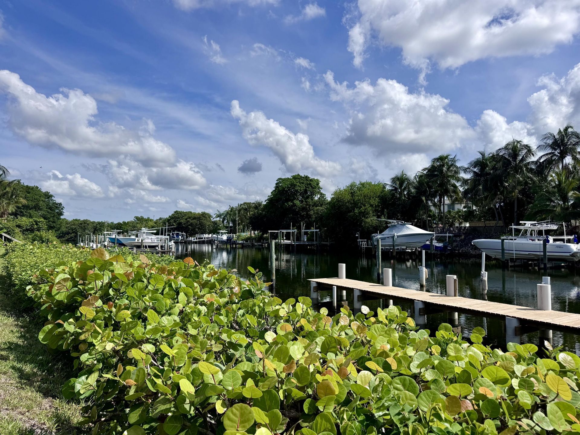 342 Southwind Drive, Unit 205, North Palm Beach, FL 33408 Photo