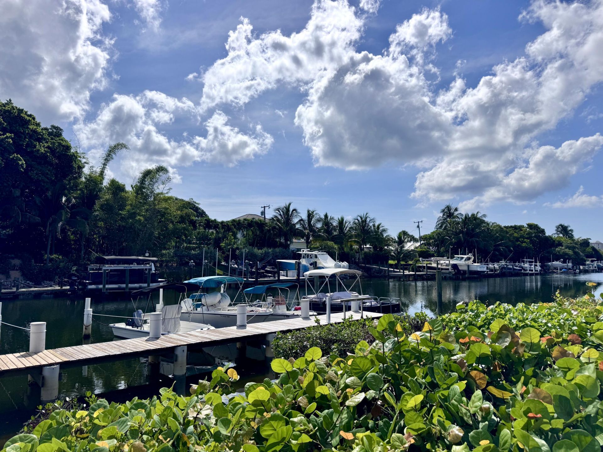 342 Southwind Drive, Unit 205, North Palm Beach, FL 33408 Photo