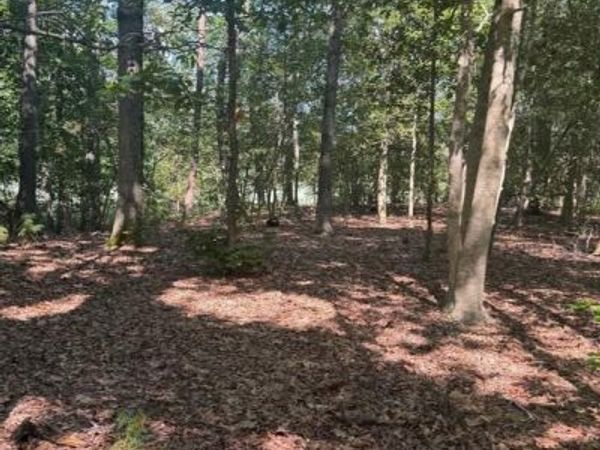 0000 NANCY LANE, KING GEORGE, VA 22485