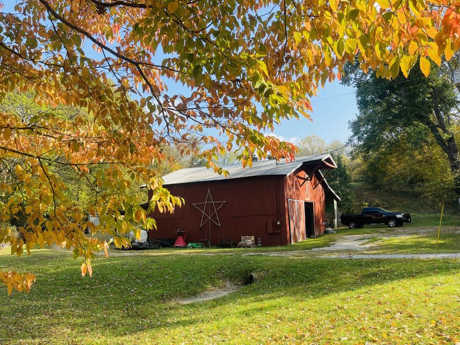 Property Image 53