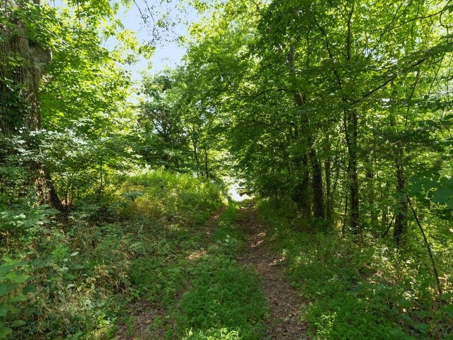 Property Image 72