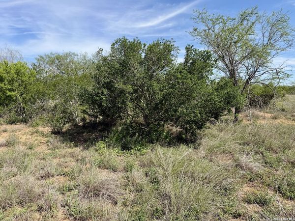 0 County Road 147, George West, TX 78022