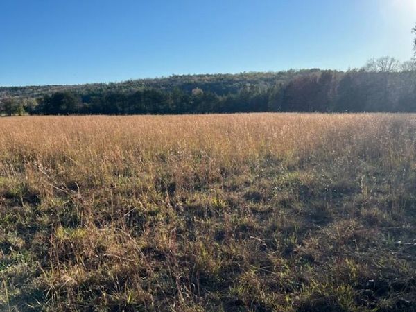 2035 Banner Mtn Road , Shirley, AR 72153