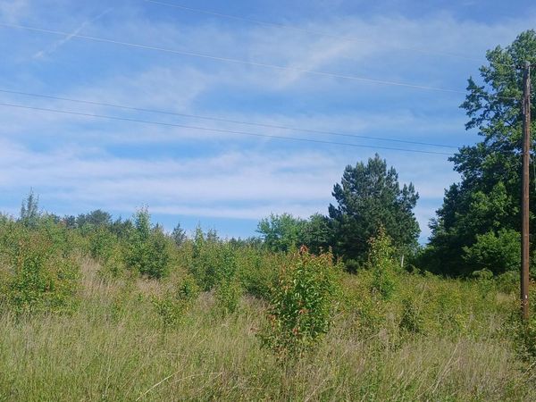 240 County Road 564 , Englewood, TN 37329