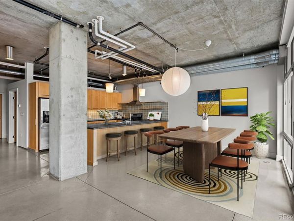1610 Little Raven Street, Unit 507, Denver, CO 80202
