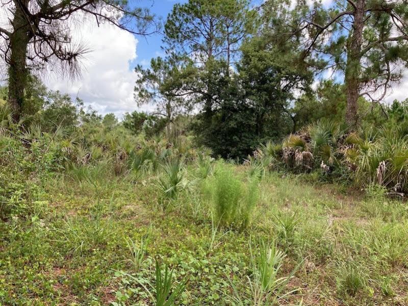 4421 24th Avenue Se, Naples, FL 34117 Photo