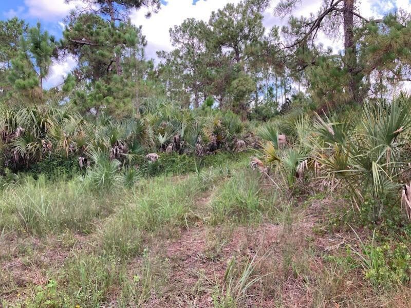 4421 24th Avenue Se, Naples, FL 34117 Photo