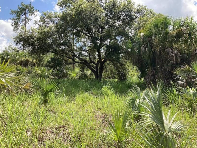 4421 24th Avenue Se, Naples, FL 34117 Photo