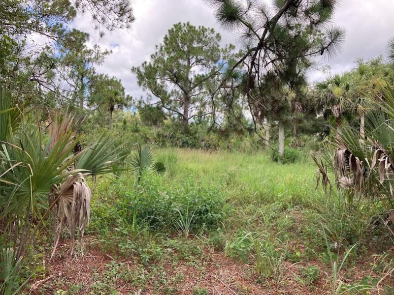 4421 24th Avenue Se, Naples, FL 34117 Photo