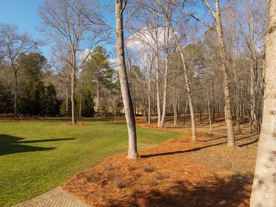 Property Image 69