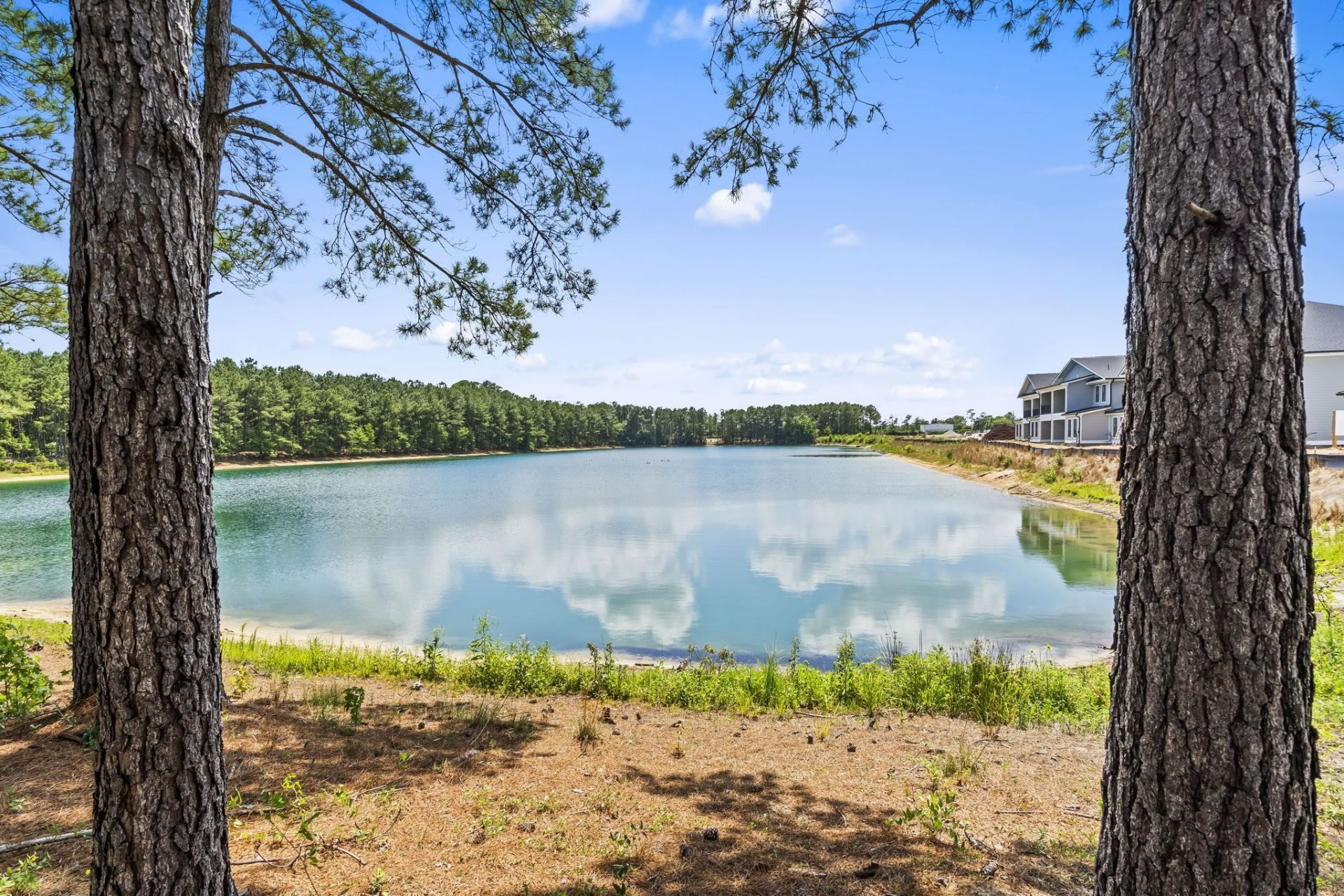 158 Shady Arbor Loop  Photo 46