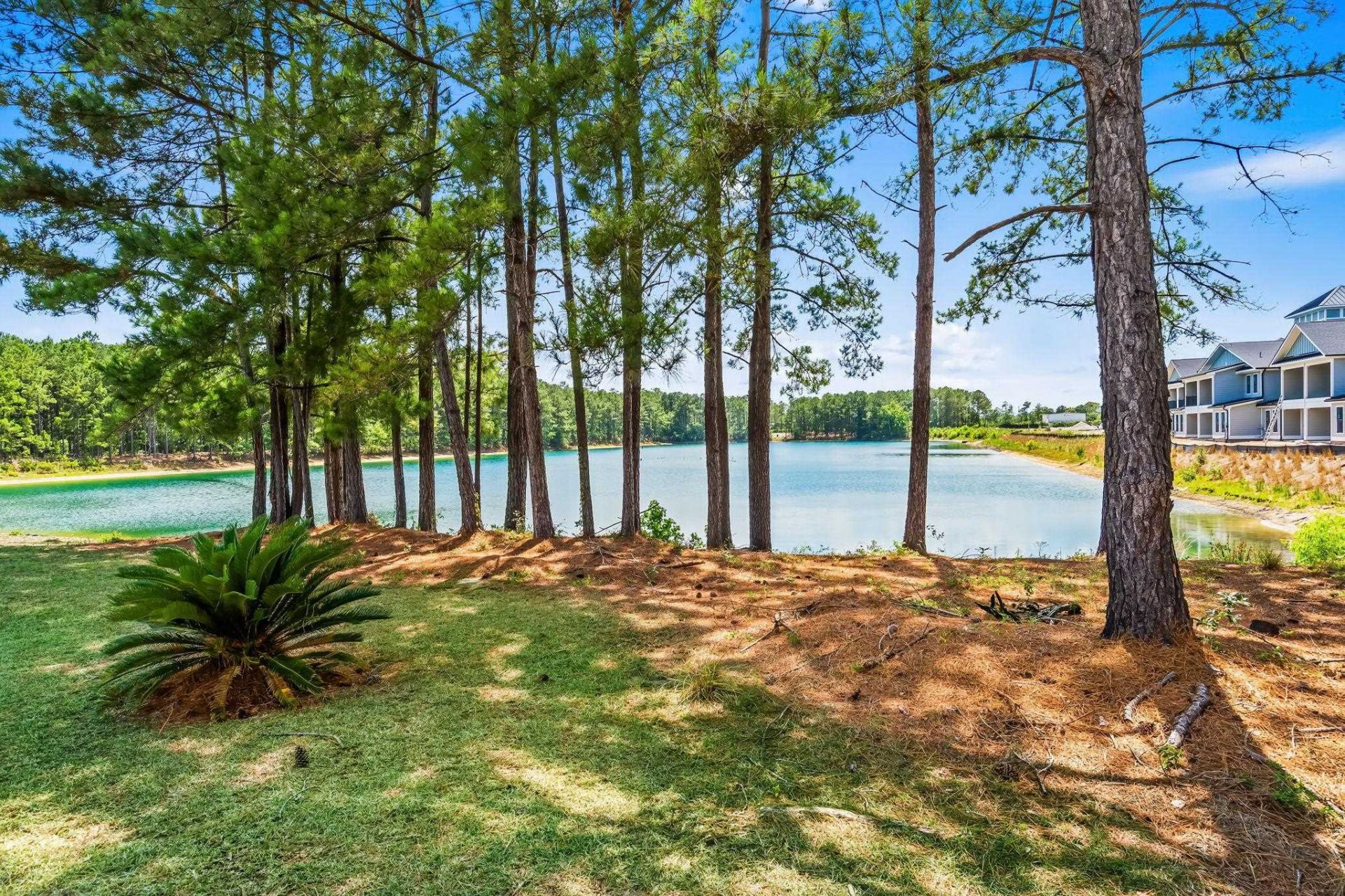 158 Shady Arbor Loop  Photo 47