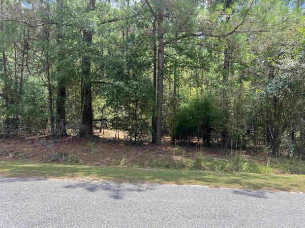 TBD Ervin Road Ervin Rd. , Andrews, SC 29510