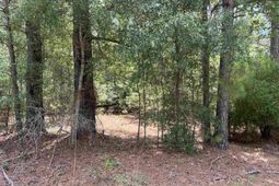 Tbd Ervin Road Ervin Rd.  photo 4