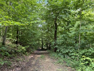 7466 Hawkins Branch Road, Frenchburg, KY 40322