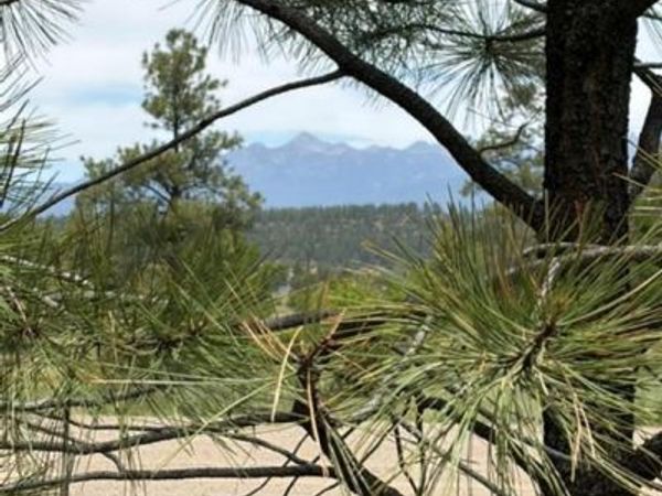 2321 Loma Linda Drive, Pagosa Springs, CO 81147