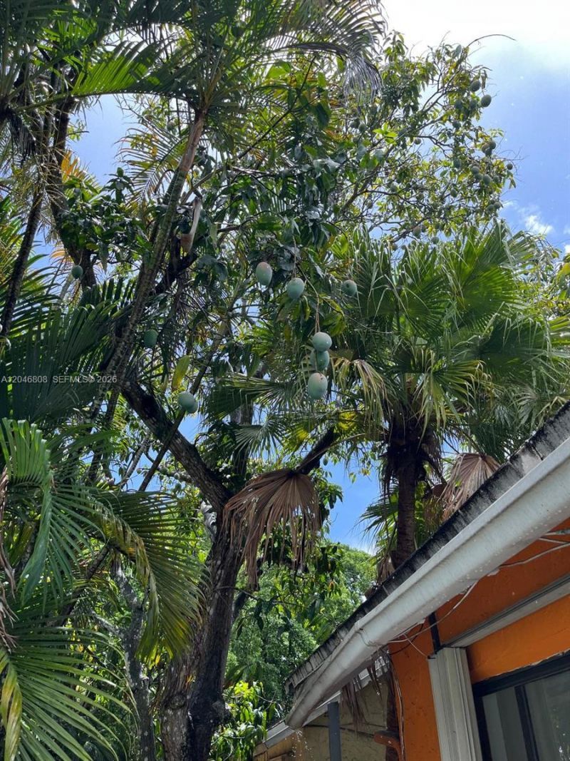 925 NE 207th Ter, Miami, FL 33179 Photo