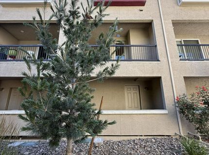 2994 Silver River Lane, Sparks, NV 89431 Photo