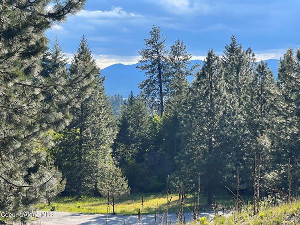 6557 S Buckrail RD , Harrison, ID 83833