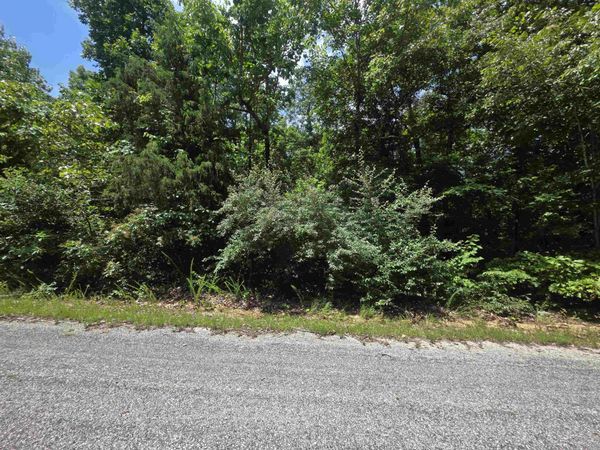 1101 S Michigan Avenue, Horseshoe Bend, AR 72512