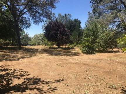 159 E Hillcrest Dr, Auburn, CA 95603 Photo