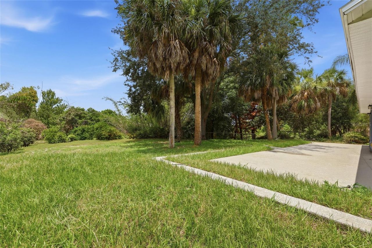 10641 Lake Ralph Drive , Clermont, FL 34711 Photo