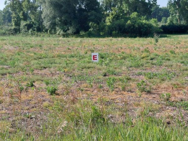 Stony Lake Road, Jackson, MI 49201