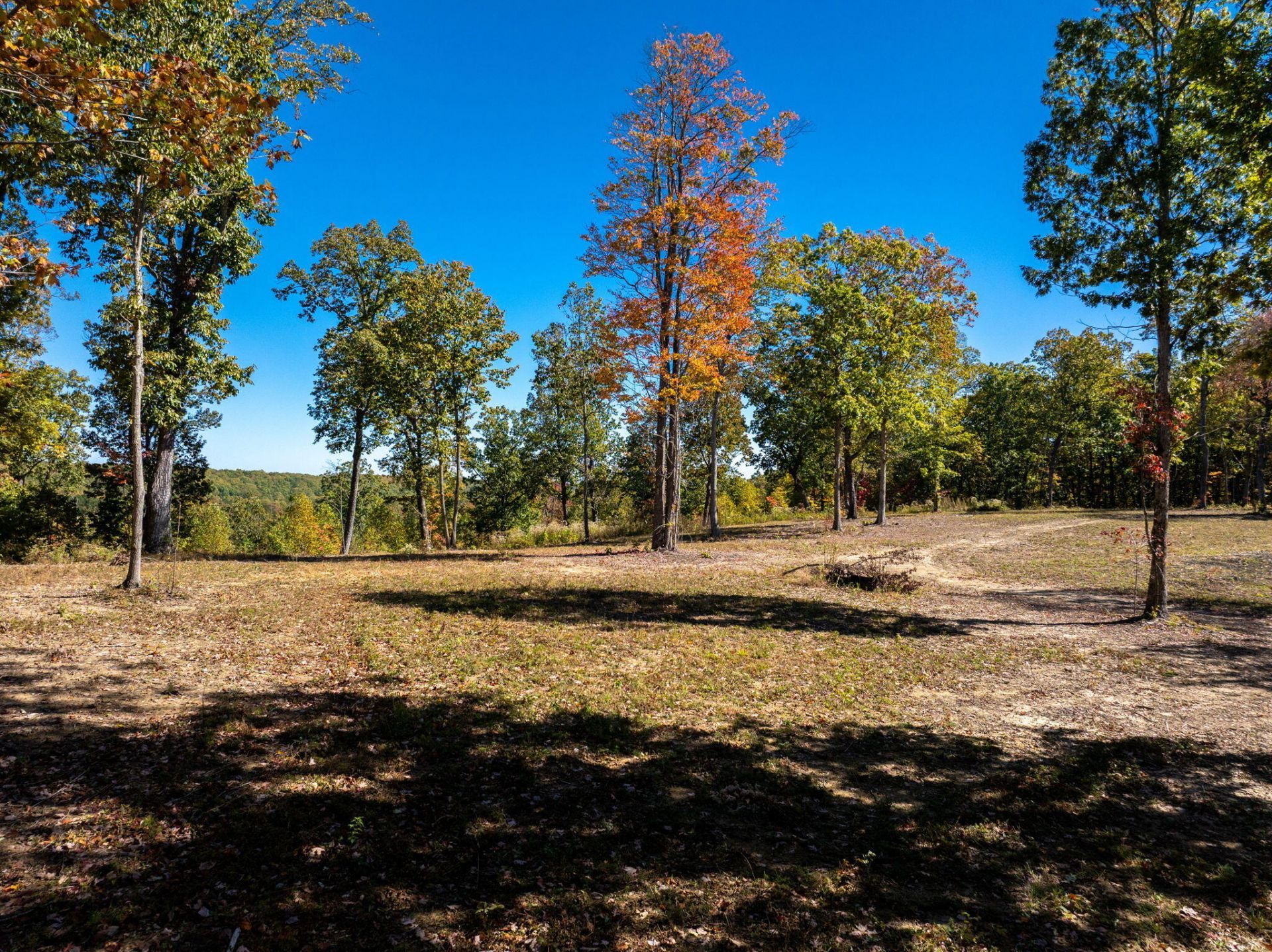 482 Coke Bowman Road, Graysville, TN 37338 Main Photo