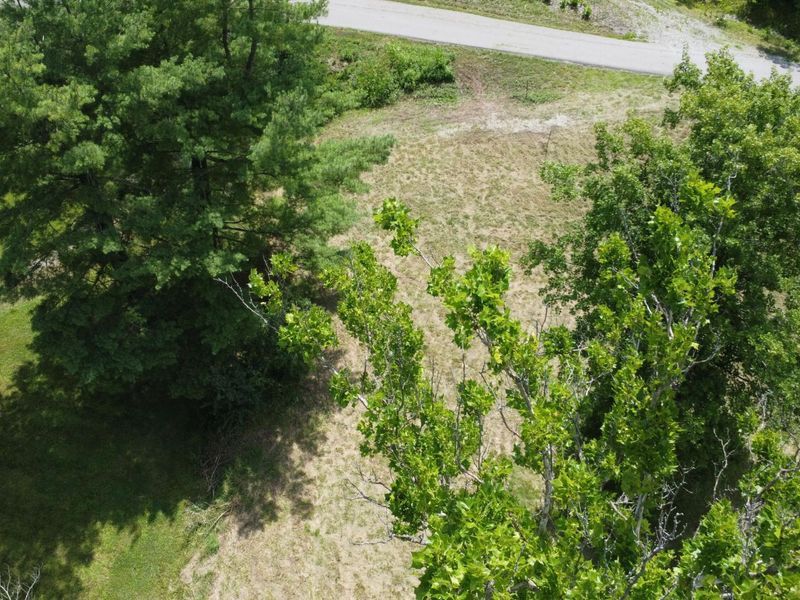 9264 Lower River Road, Burlington, KY 41005 Photo 3