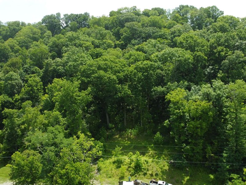 9264 Lower River Road, Burlington, KY 41005 Photo 4