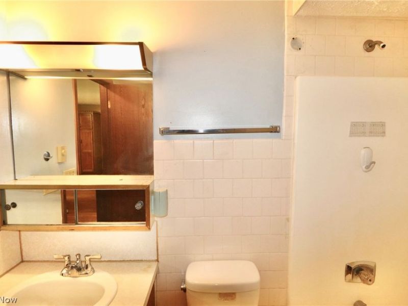 113 Gaylord Street, Lodi, OH 44254 Photo 14