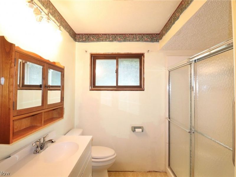 113 Gaylord Street, Lodi, OH 44254 Photo 19