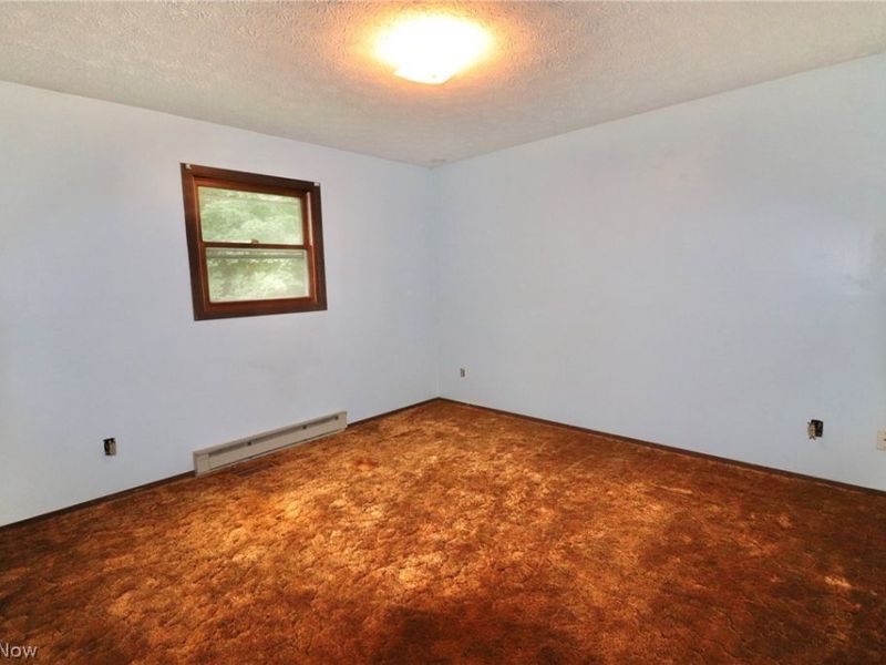 113 Gaylord Street, Lodi, OH 44254 Photo 21