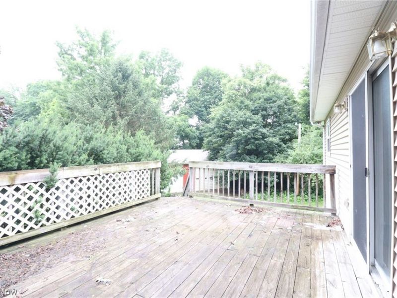 113 Gaylord Street, Lodi, OH 44254 Photo 28