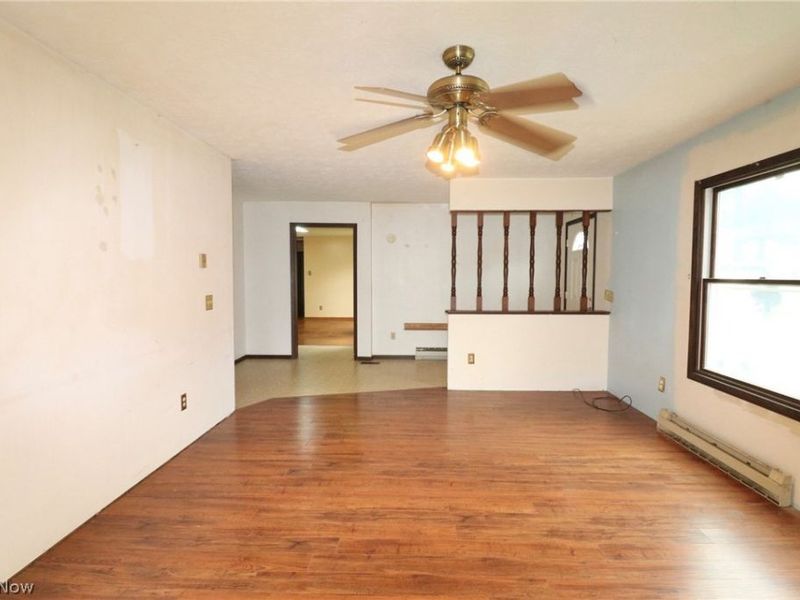 113 Gaylord Street, Lodi, OH 44254 Photo 4