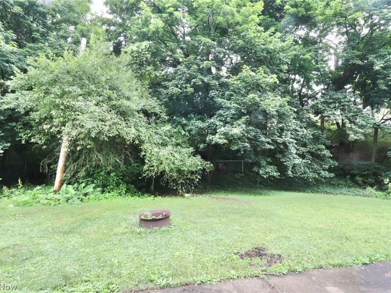 113 Gaylord Street, Lodi, OH 44254 Photo 44