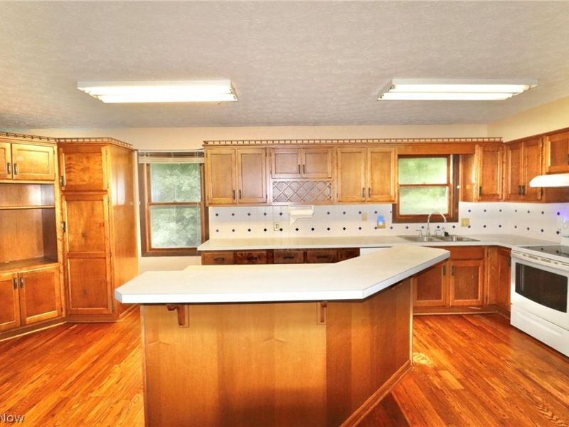 113 Gaylord Street, Lodi, OH 44254 Photo 8