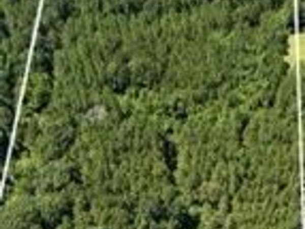 Nell Lambert Road, Jayess, MS 39641