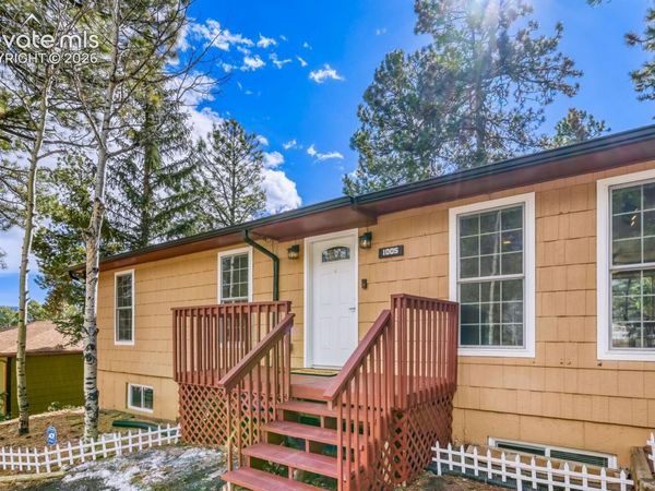 1005 W Browning Avenue, Woodland Park, CO 80863
