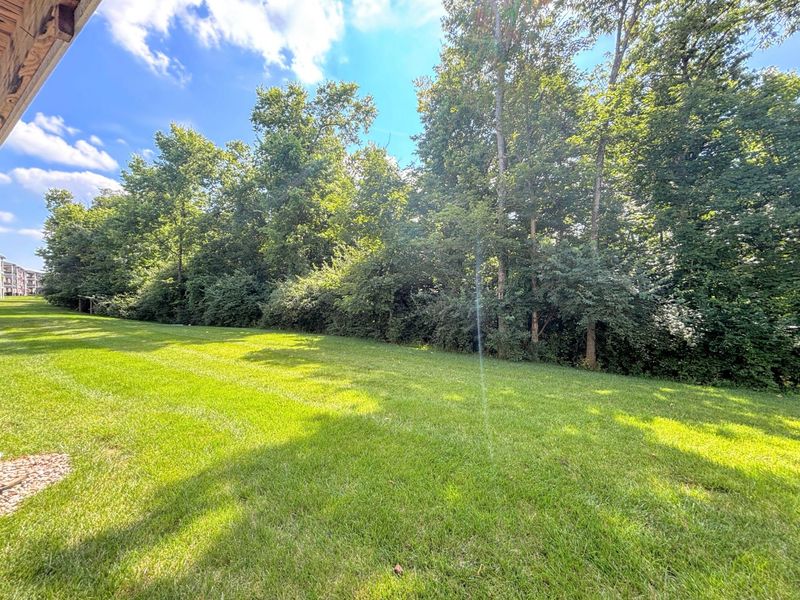 2171 Piazza Ridge, Covington, KY 41017 Photo 5