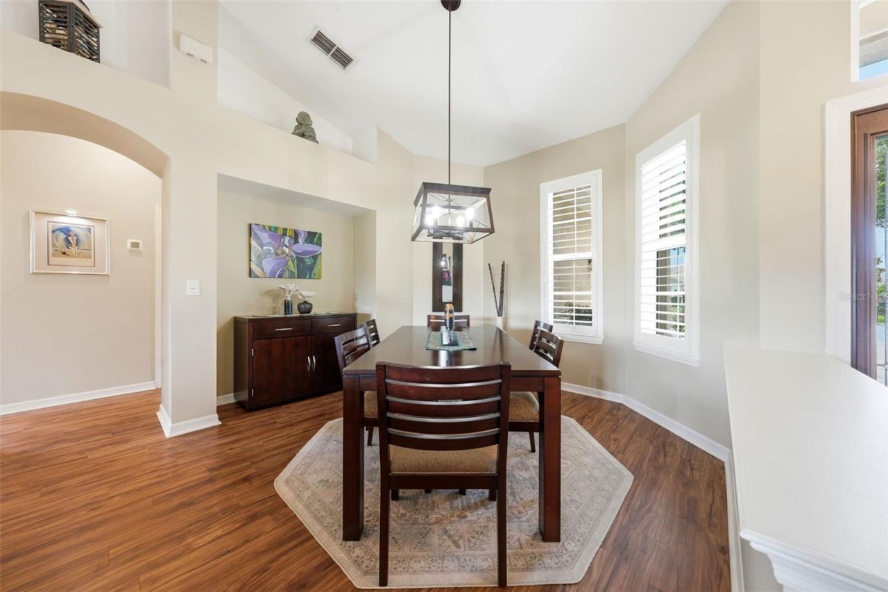 7029 Pine Hollow Drive , Mount Dora, FL 32757 Photo
