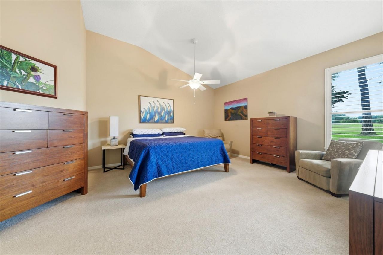 7029 Pine Hollow Drive , Mount Dora, FL 32757 Photo