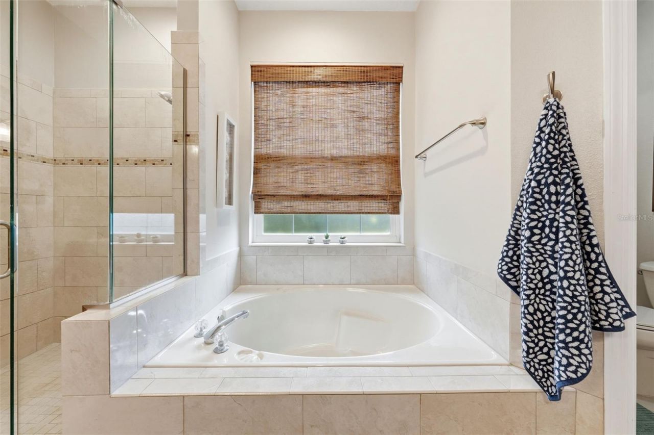 7029 Pine Hollow Drive , Mount Dora, FL 32757 Photo