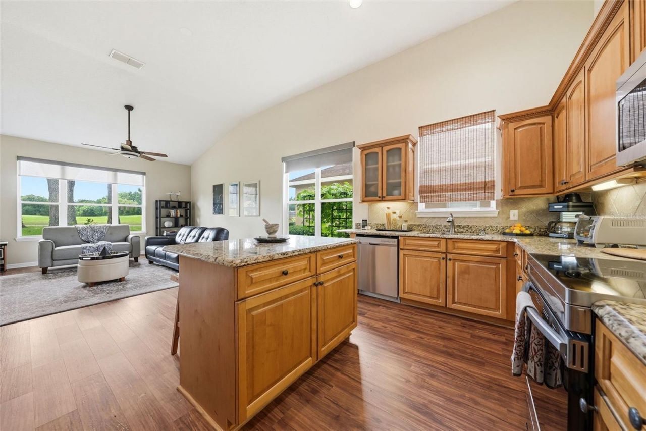 7029 Pine Hollow Drive , Mount Dora, FL 32757 Photo