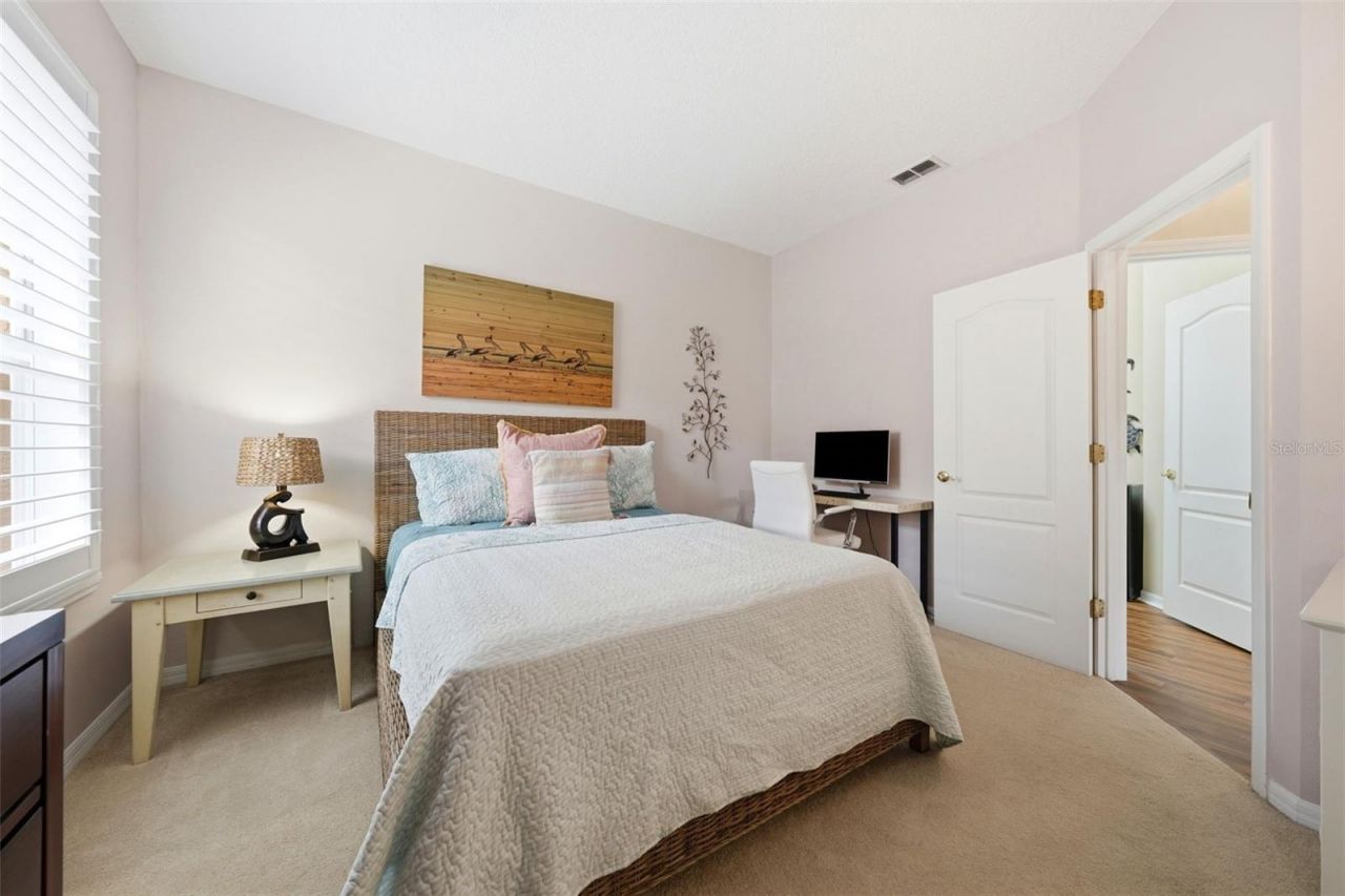 7029 Pine Hollow Drive , Mount Dora, FL 32757 Photo