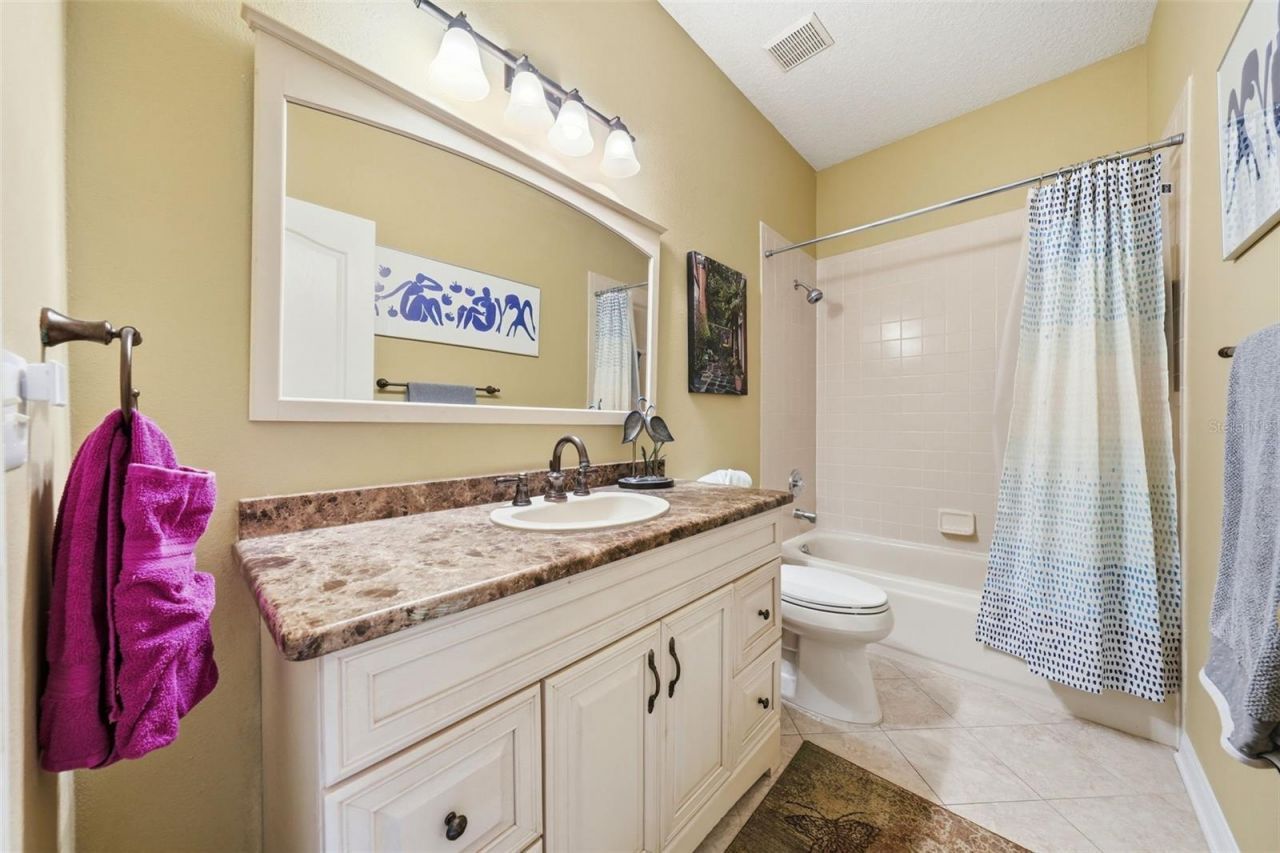 7029 Pine Hollow Drive , Mount Dora, FL 32757 Photo